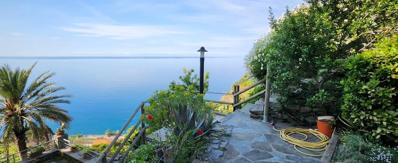 New Hanging Garden Corniglia