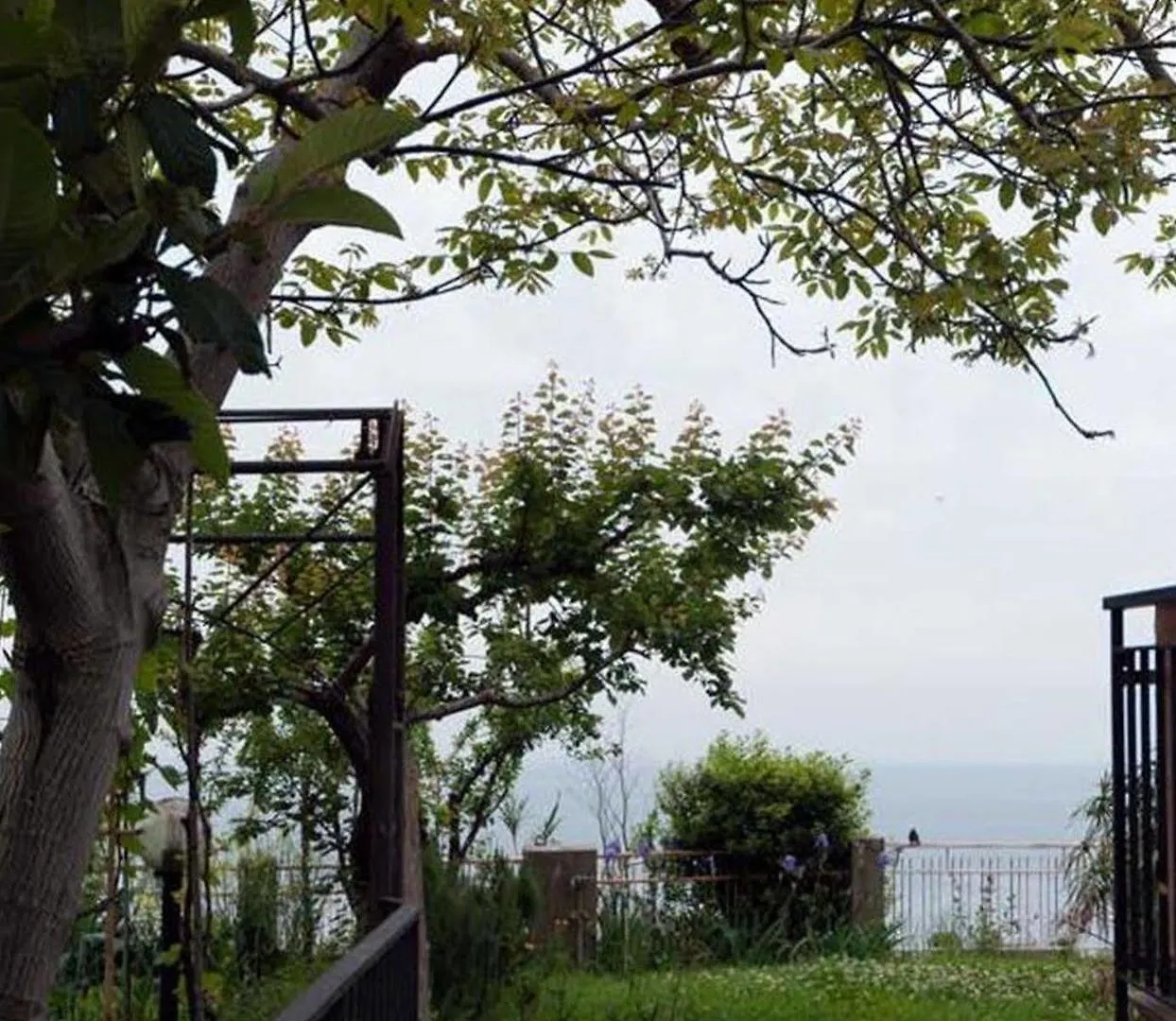 New Hanging Garden Corniglia