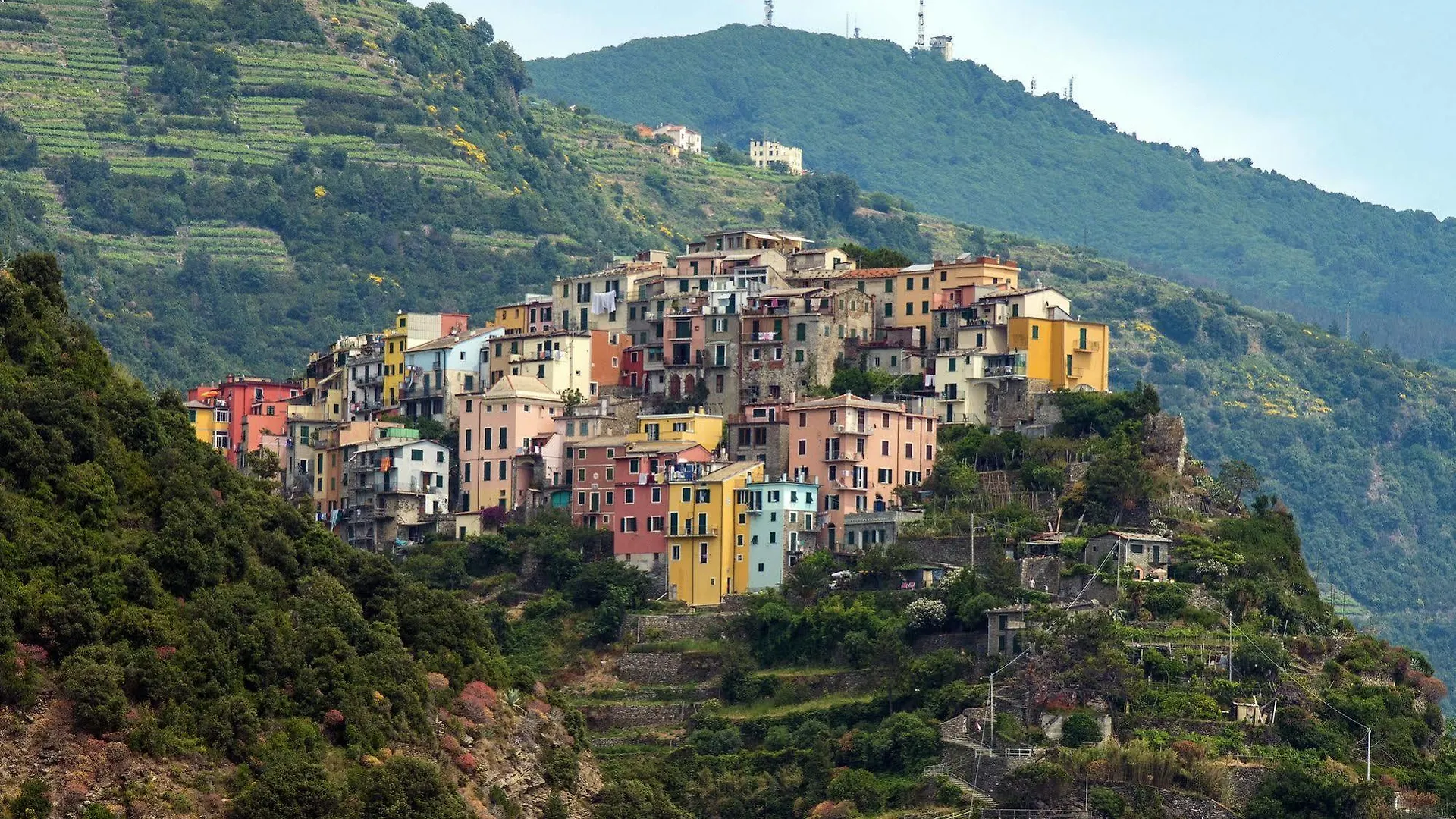 New Hanging Garden Corniglia Italy