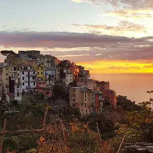  Appartamento Terre