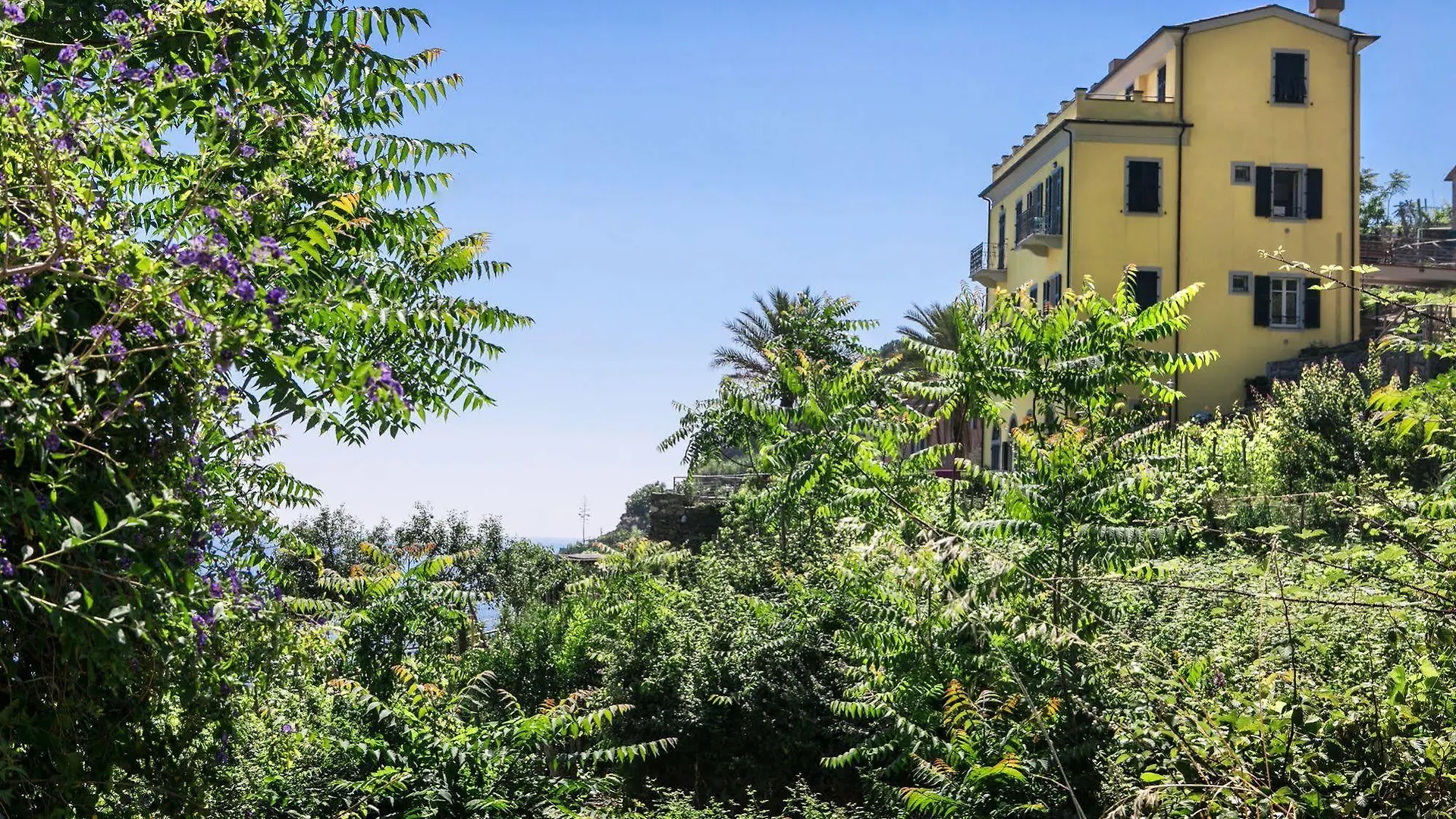 New Hanging Garden 0*, Corniglia Italien